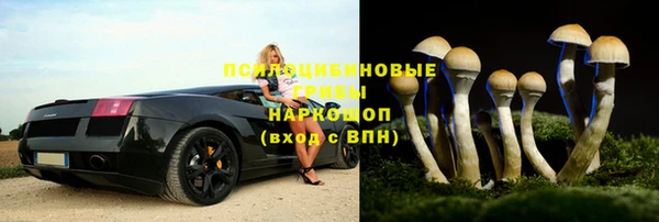 тгк Белокуриха