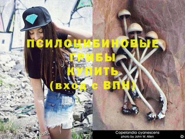 не бодяженный Баксан