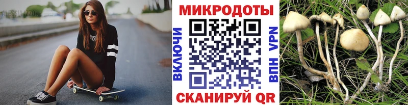 как найти закладки  Сердобск  Псилоцибиновые грибы MAGIC MUSHROOMS 