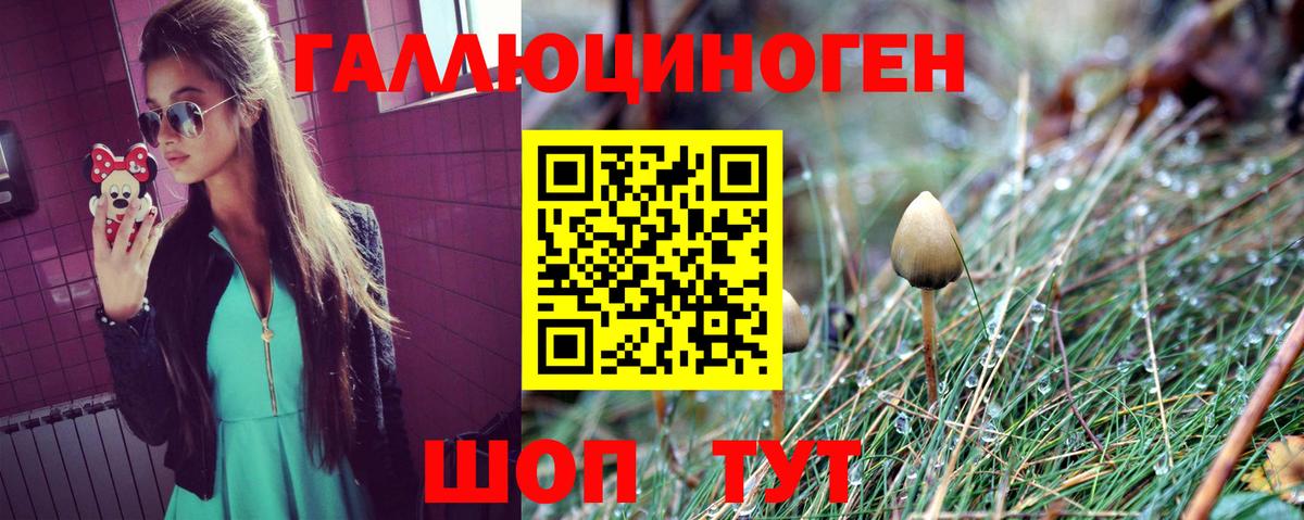 Псилоцибиновые грибы ЛСД  Псилоцибиновые грибы прущие грибы  Сердобск  хочу наркоту  Вход с VPN 