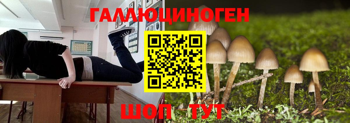 Галлюциногенные грибы GOLDEN TEACHER Сердобск